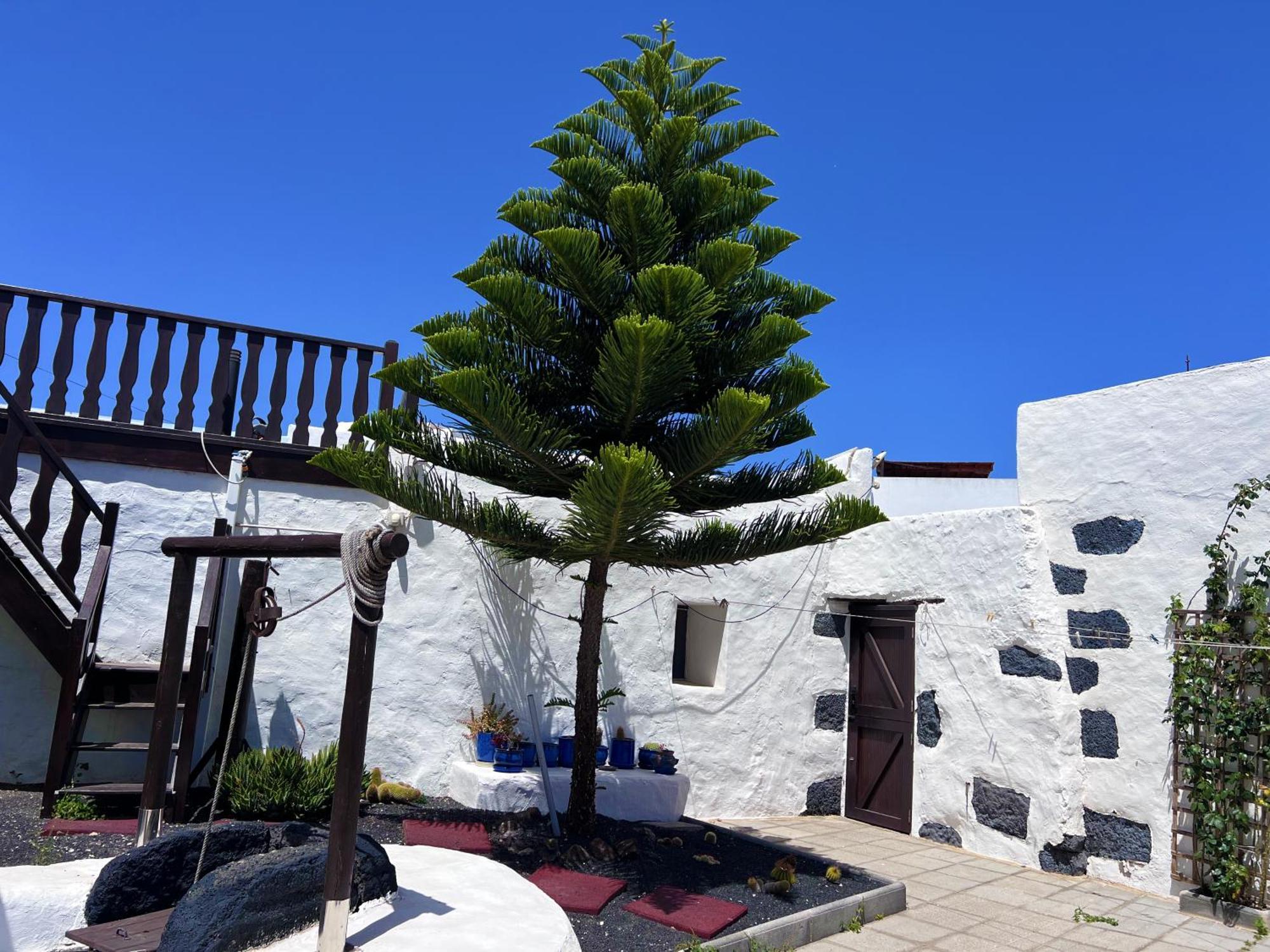 Casa Rural Estilo Canario Villa San Bartolome  Ngoại thất bức ảnh